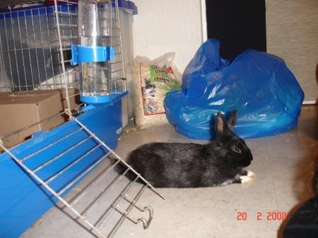 Petit repos hors de la cage