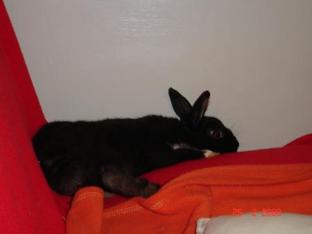Repos sur le futon