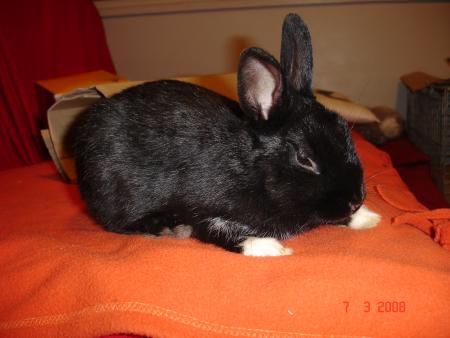 aretez les flashes!