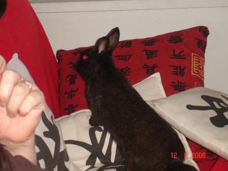 exploration sur le futon