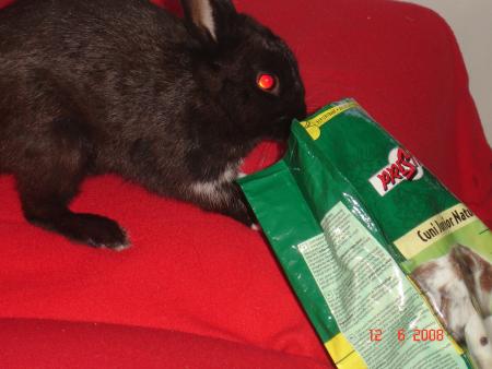 bouuuuu le gourmand